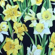 daffs