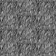 2401_X_zebra