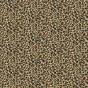 2403_V_leopard