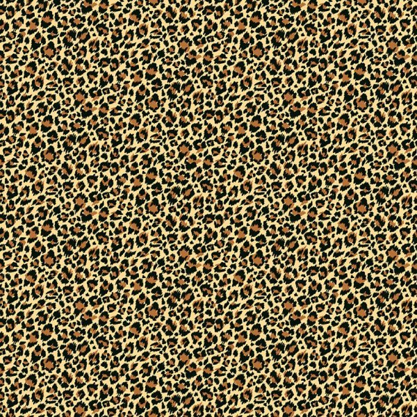 2403_V_leopard