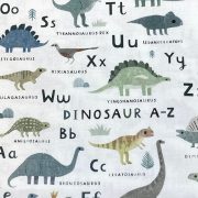 dino a-z