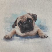 Pug