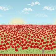 poppy border-RED