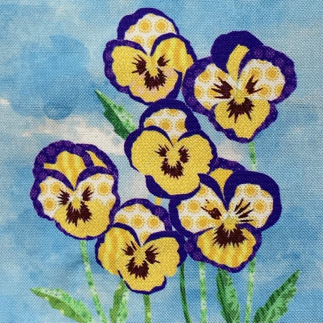 pansy