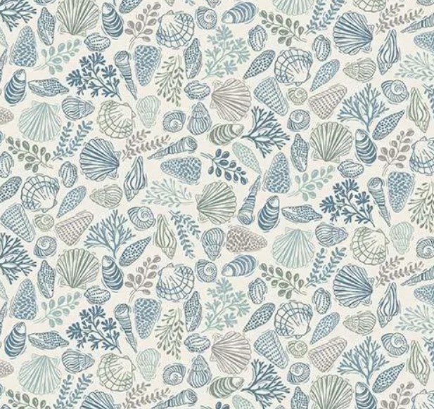 176.Q Shells on Cream