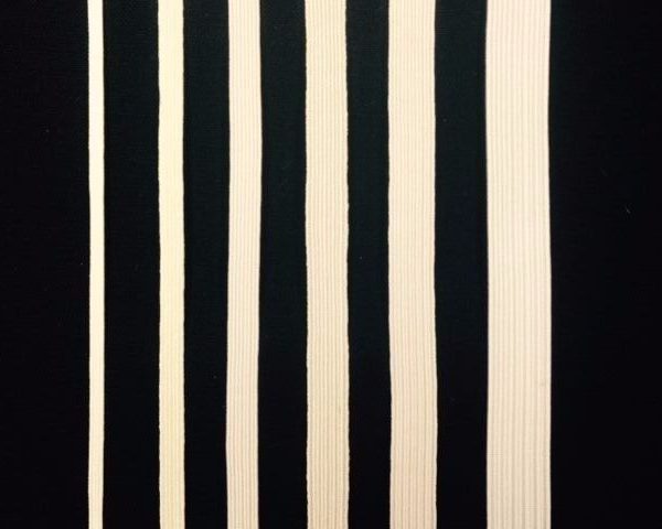 Thin-Flat-Elastic-black-or-white-3-metres-263308020673-2